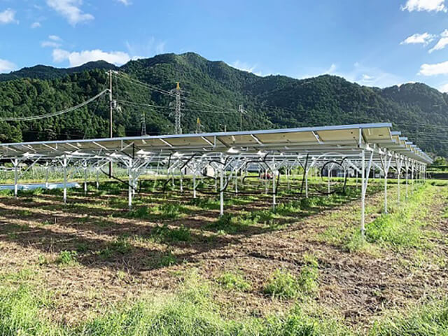 95,28 KW - Solarpark in Japan