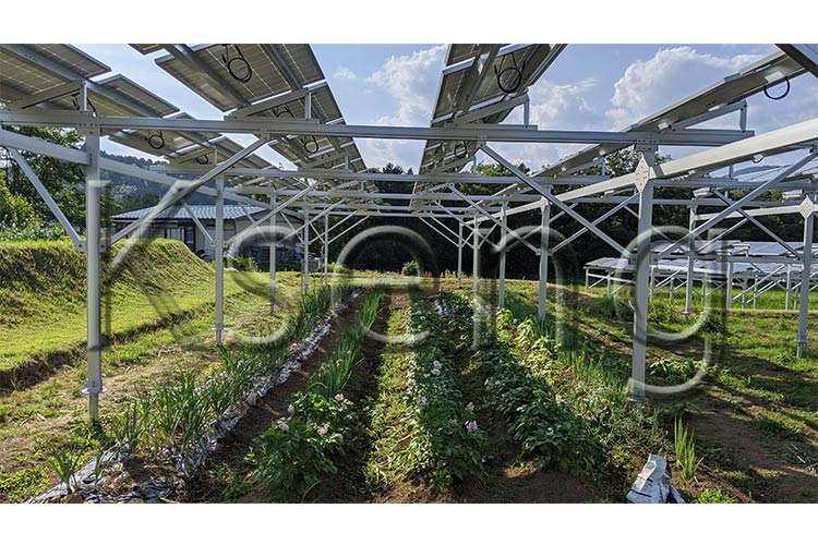 solar-farm-mount.jpg