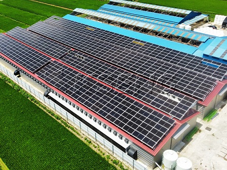 400KW - Rooftop Solar Solution in Korea