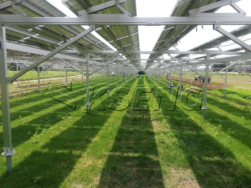 Ein Artikel über komplementäre landwirtschaftliche Photovoltaikanlagen