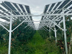 3MW-Solarfarm-Landwirtschafts-Bracket-Projekt in Deutschland